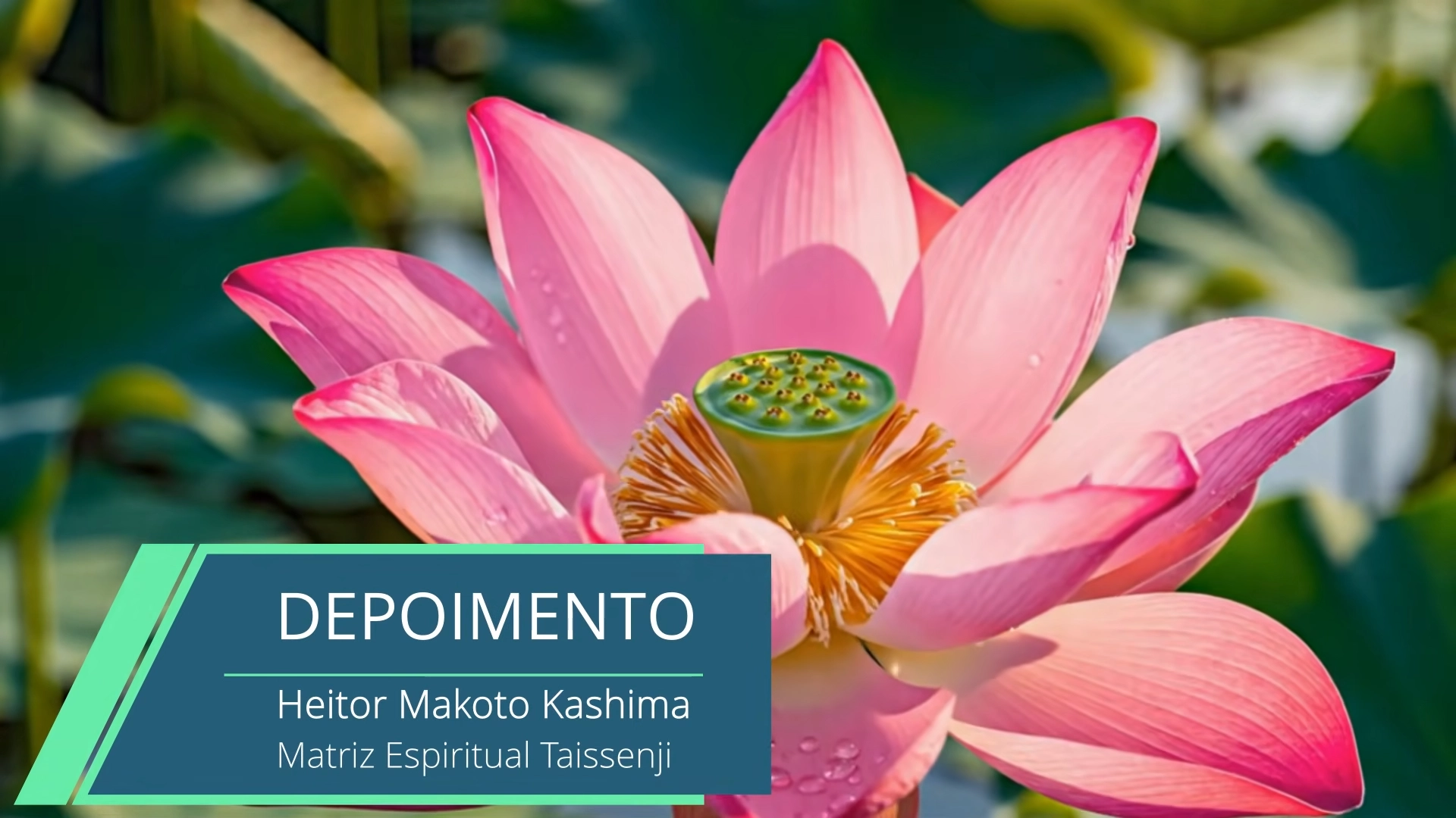 Depoimento de Heitor Makoto Kashima - Templo Taissenji| Budismo Primordial