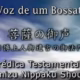 O SURGIMENTO DO UNIVERSO NA VISÃO DO BUDISMO PRIMORDIAL HBS " A Voz de um Bossatsu"